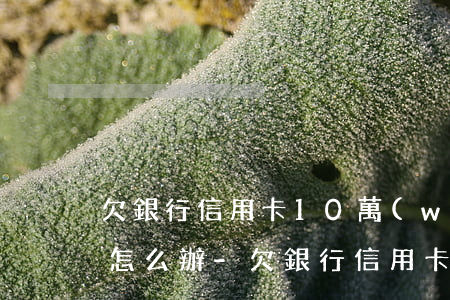 欠銀行信用卡10萬(wàn)塊錢還不起怎么辦-欠銀行信用卡10萬(wàn)塊錢還不起怎么辦呢