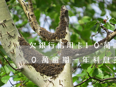 欠銀行信用卡10萬逾期三年了(欠信用卡10萬逾期一年利息多少錢)