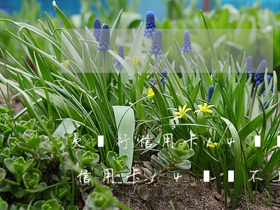 欠銀行信用卡14萬還不上怎么辦-欠銀行信用卡14萬還不上怎么辦呢