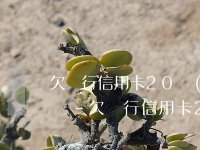欠銀行信用卡20萬(wàn)還不上怎么辦-欠銀行信用卡20萬(wàn)還不上怎么辦呢