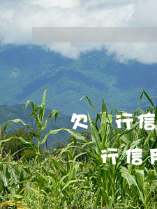 欠銀行信用卡20萬無力償還判刑多久-欠銀行信用卡20萬無力償還判刑多久呢