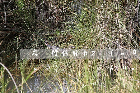 欠銀行信用卡2萬(wàn)銀行說(shuō)資產(chǎn)保全-欠銀行信用卡2萬(wàn)銀行說(shuō)資產(chǎn)保全是真的嗎