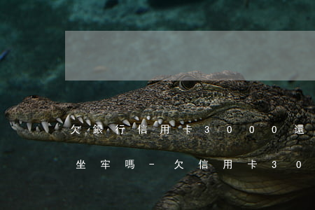 欠銀行信用卡3000還不上會(huì)坐牢嗎-欠信用卡3000多會(huì)坐牢嗎