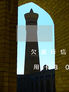 欠銀行信用卡30萬會被通緝嗎-欠銀行信用卡30萬會被通緝嗎知乎
