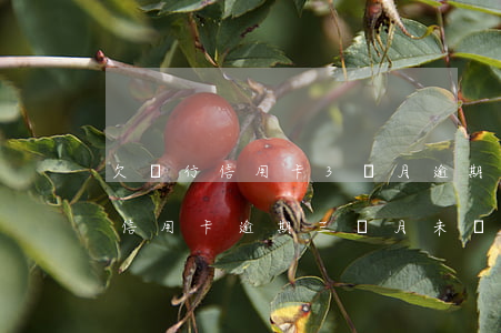 欠銀行信用卡3個月逾期會怎么樣（中國銀行信用卡逾期三個月未還）