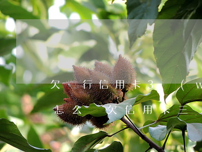 欠銀行信用卡3萬(wàn)元,銀行起訴了怎么辦?（欠信用卡三萬(wàn)銀行起訴）
