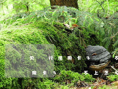 欠銀行信用卡3萬還不上怎么辦-欠銀行信用卡3萬還不上怎么辦呢