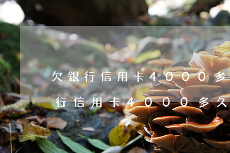 欠銀行信用卡4000多久會被起訴-欠銀行信用卡4000多久會被起訴呢