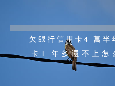 欠銀行信用卡4萬半年不還(我欠4千多信用卡1年多還不上怎么辦)