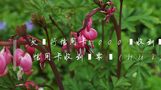 欠銀行信用卡5000塊收到傳票-欠銀行信用卡收到傳票會(huì)怎樣