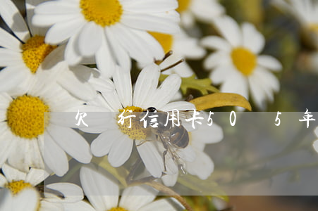 欠銀行信用卡50萬5年沒還會怎樣