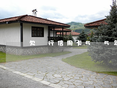 欠銀行信用卡5萬5年