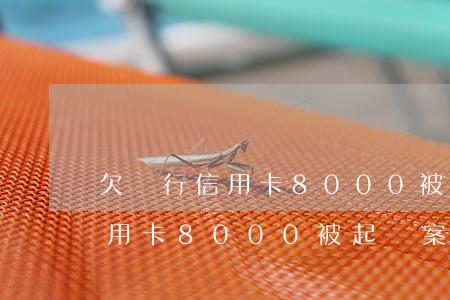 欠銀行信用卡8000被起訴案-欠銀行信用卡8000被起訴案例分析
