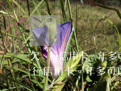 欠銀行信用卡一年多可以只還本金嗎-欠銀行信用卡一年多可以只還本金嗎