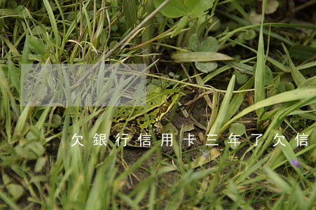 欠銀行信用卡三年了（欠信用卡三年后）