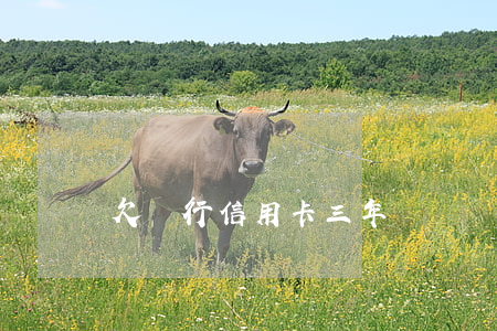 欠銀行信用卡三年沒還還用還嗎-