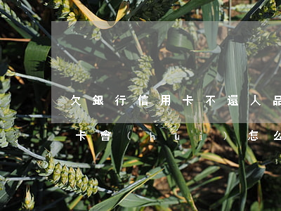 欠銀行信用卡不還人品(銀行工作人員欠信用卡會(huì)怎么樣)