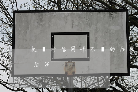 欠銀行信用卡不還的后果(信用卡欠款不還的后果)