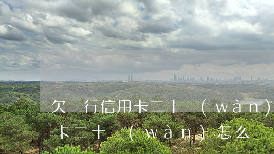 欠銀行信用卡二十萬(wàn)(欠銀行信用卡二十萬(wàn)怎么辦)