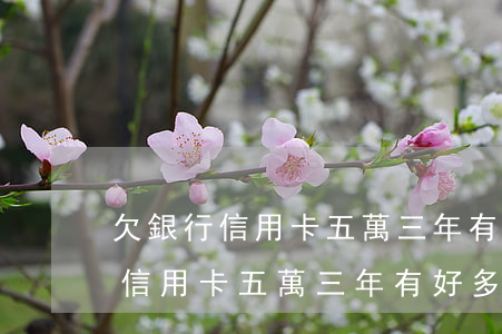 欠銀行信用卡五萬三年有好多利息-欠銀行信用卡五萬三年有好多利息怎么辦