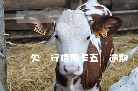 欠銀行信用卡五萬逾期幾年(欠信用卡超過五萬)