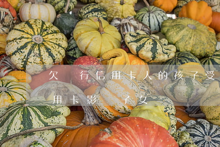 欠銀行信用卡人的孩子受影響嗎-欠銀行信用卡影響子女嗎