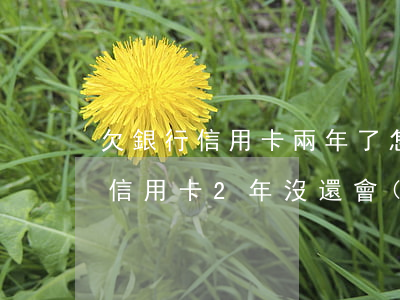 欠銀行信用卡兩年了,怎么班算失信人嗎-欠信用卡2年沒還會(huì)成為失信人嗎