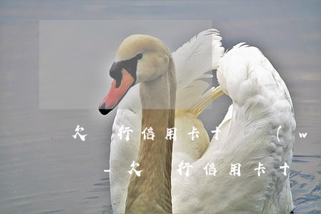欠銀行信用卡十幾萬(wàn)還不上怎么辦-欠銀行信用卡十幾萬(wàn)還不上怎么辦?