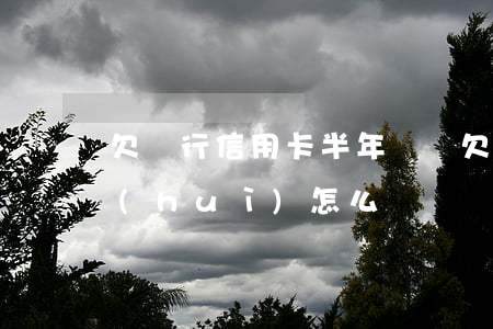 欠銀行信用卡半年沒還(欠信用卡半年沒還會(huì)怎么樣)