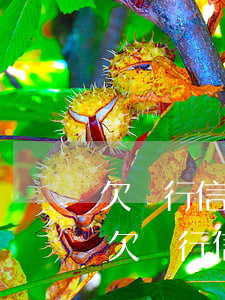 欠銀行信用卡可以協(xié)商解決嗎-欠銀行信用卡可以協(xié)商解決嗎