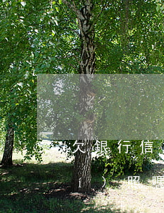 欠銀行信用卡可以辦營業(yè)執(zhí)照嗎-欠銀行信用卡可以辦營業(yè)執(zhí)照嗎知乎
