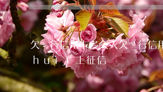 欠銀行信用卡多久入(欠銀行信用卡多久會(huì)上征信)