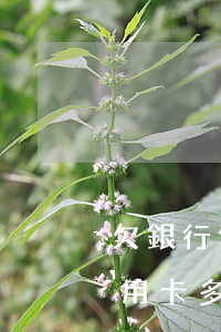 欠銀行信用卡多次沒有足額還款-欠銀行信用卡多次沒有足額還款會怎么樣