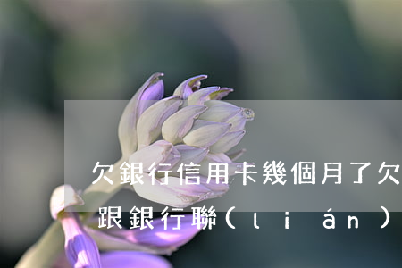 欠銀行信用卡幾個月了(欠信用卡好幾個月沒跟銀行聯(lián)系了怎么辦)