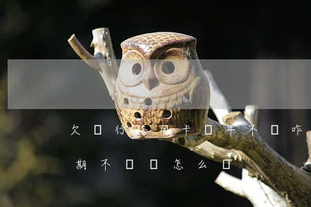 欠銀行信用卡幾年不還咋辦(銀行欠信用卡長期不還會怎么樣)
