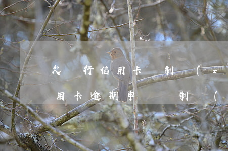 欠銀行信用卡強制執(zhí)行的限制（信用卡逾期申請強制執(zhí)行的多嗎）