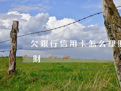 欠銀行信用卡怎么理財(欠銀行信用卡怎么理財)