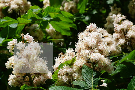 欠銀行信用卡怎么繼承 個(gè)人的信用卡債務(wù)會(huì)繼承給子女嗎