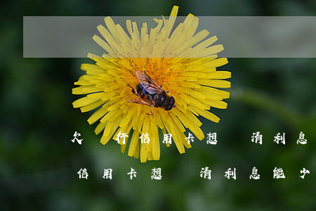 欠銀行信用卡想還清利息能少繳嗎-欠銀行信用卡想還清利息能少繳嗎怎么辦