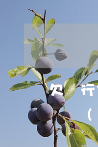欠銀行信用卡會(huì)上門(mén)嗎（個(gè)人欠信用卡會(huì)上門(mén)嗎）
