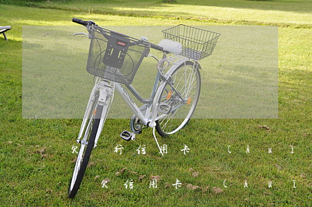 欠銀行信用卡會(huì)凍結(jié)嗎(欠信用卡會(huì)凍結(jié)名下財(cái)產(chǎn)嗎)