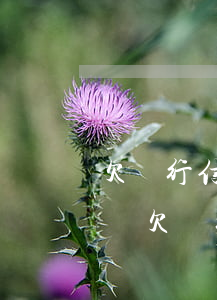 欠銀行信用卡會(huì)報(bào)案嗎(欠銀行信用卡會(huì)報(bào)案嗎)