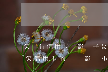 欠銀行信用卡會影響子女上學(xué)嗎 欠信用卡的錢會影響小孩的以后嗎