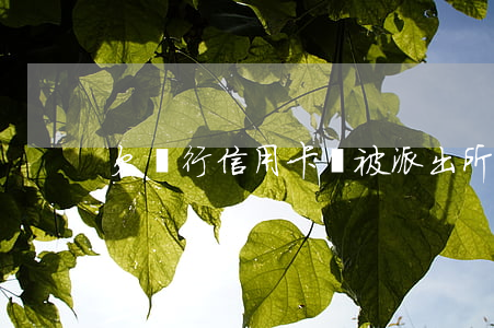 欠銀行信用卡會被派出所立案嗎-