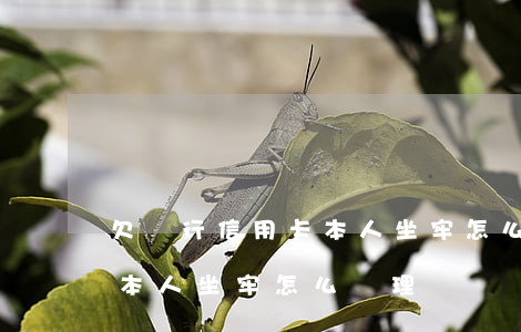 欠銀行信用卡本人坐牢怎么辦(欠銀行信用卡本人坐牢怎么辦理)