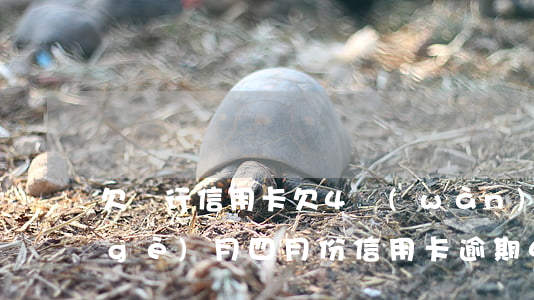 欠銀行信用卡欠4萬(wàn)逾期4個(gè)月（四月份信用卡逾期4萬(wàn)）