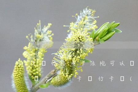 欠銀行信用卡法院可以凍結(jié)低保嗎(欠信用卡銀行卡會(huì)被凍結(jié)嗎)