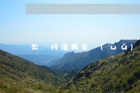 欠銀行信用卡無(wú)力償還銀行起訴-
