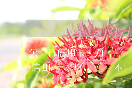 欠銀行信用卡無力償還會不會判刑-欠銀行信用卡無力償還會不會判刑呢