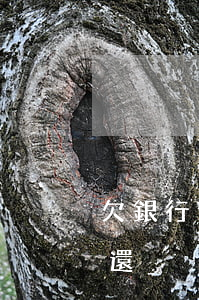 欠銀行信用卡無力嘗還(欠銀行信用卡無力嘗還)